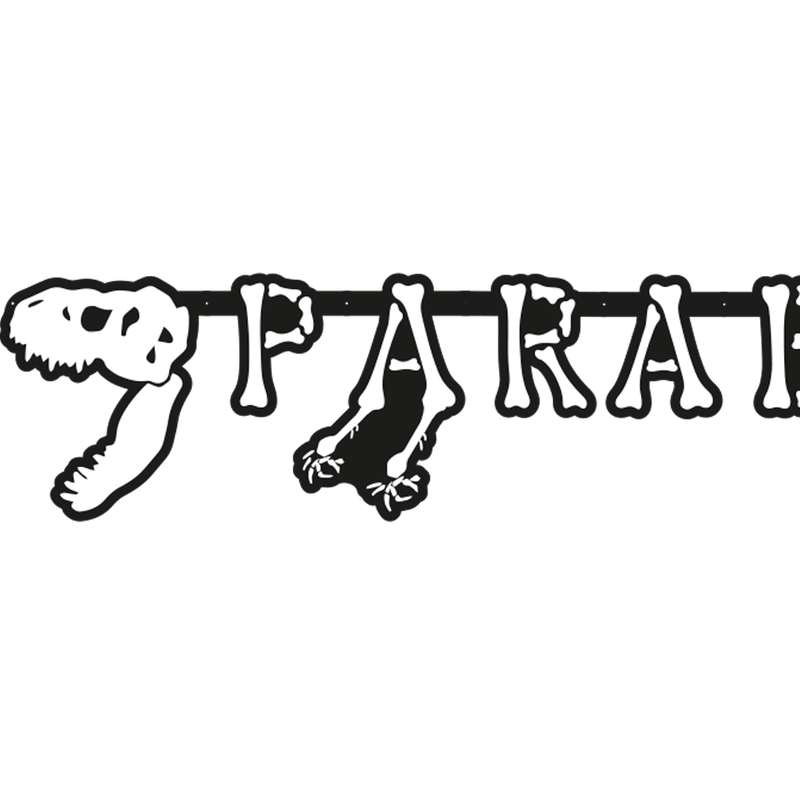 FAIXA-PARABENS-DINOSSAURO-01-un.